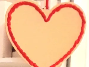 ❤️ Heart Wood Embroidery Kit + Video Tutorial