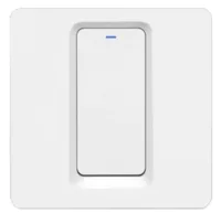 WiFi+RF Panel switch 1G
